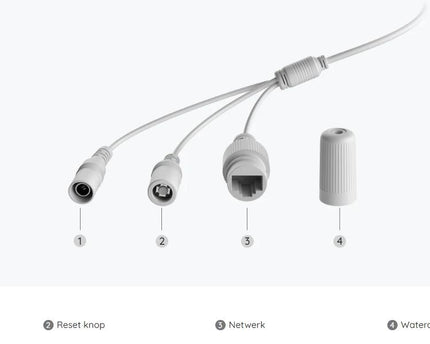 Reolink P320, 5MP PoE IP Camera met Persoon/Voertuig Detectie